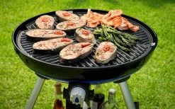 Cadac BBQ Grille