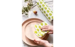 Nuts Innovations Bamboo Paper Roll 40 Sheets 12 Nuts Innovations Bamboo Paper Roll 40 Sheets -Camping Kitchen 427764 3063029