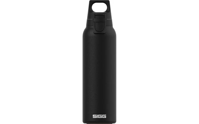 SIGG H&C ONE Drinking Bottle Light Glacier 3 SIGG H&C ONE Drinking Bottle Light Glacier