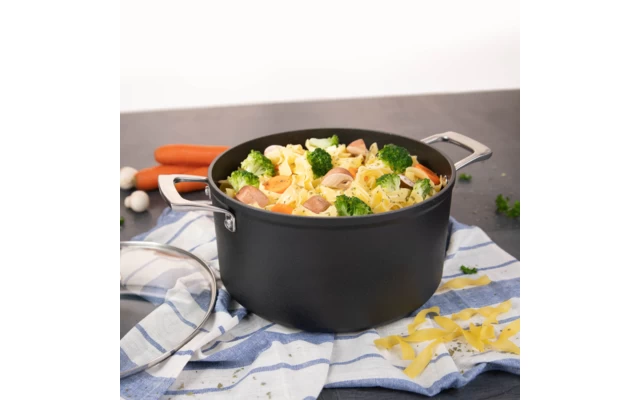 Cerafit Plasma Pot Set 2 Pieces 24 Cm 3 Cerafit Plasma Pot Set 2 Pieces 24 Cm