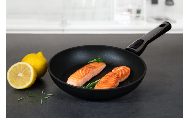 Cerafit Plasma Pan Set 2 Pieces 24 Cm 3 Cerafit Plasma Pan Set 2 Pieces 24 Cm