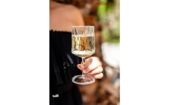 Berger Wine Glass Set Of 2 -Camping Kitchen 690069 4697631