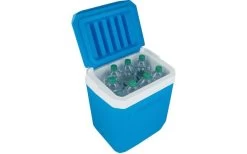 Campingaz Icetime Plus Cool Box